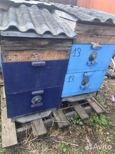 Ульи рамки для пчёл