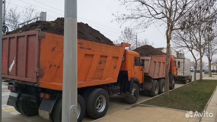 Растения для сада