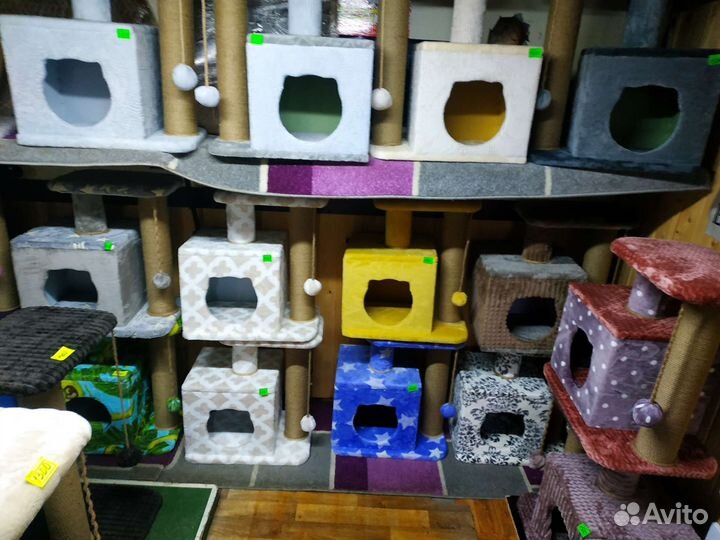 Когтеточки с домиками
