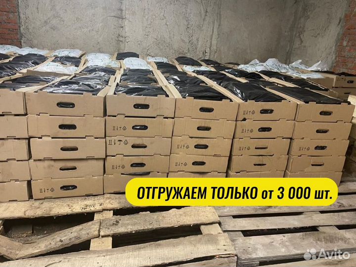 Саженцы ели окс