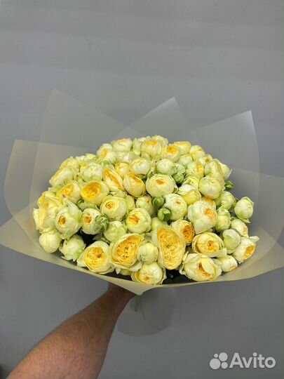 Розы 201 101 51 31 25 оптом и в розницу