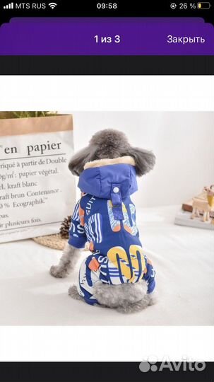 Комбинизон для собак средних и мелких пород
