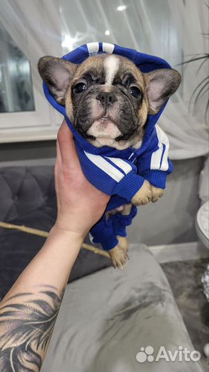 Супер детки