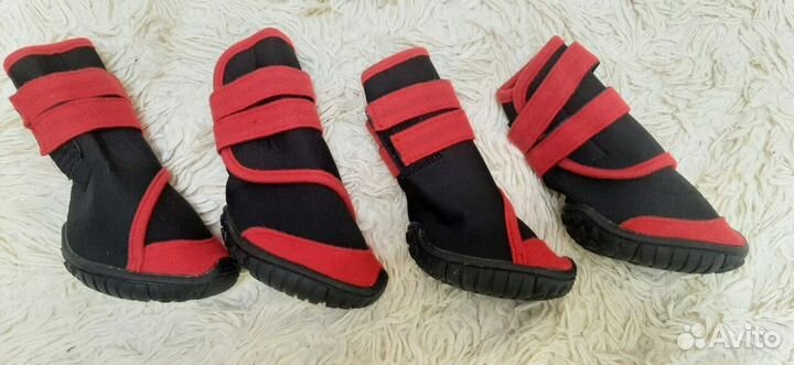 Ботинки для собак