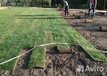 Газон от производителя