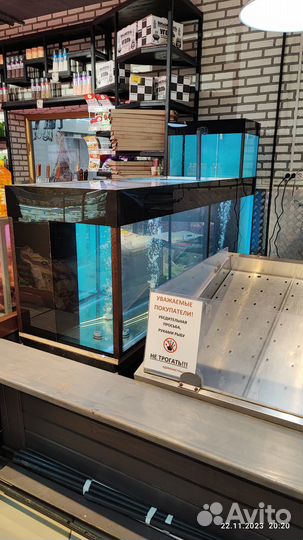 Аквариум для торговли живой рыбой