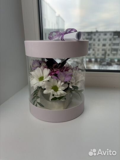 Живые бабочки подарок