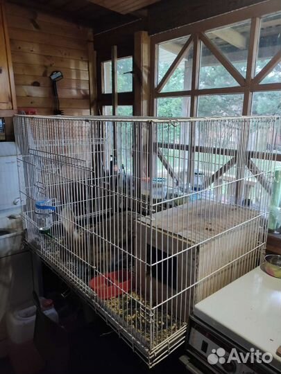 Клетка вольер для большой собаки бу