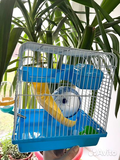 Клетка для хомяка