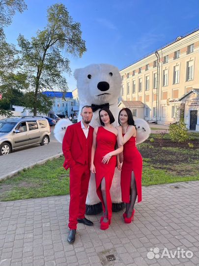 Белый мишка поздравление