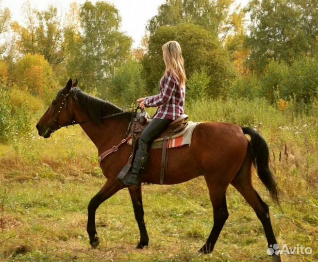 Конные прогулки