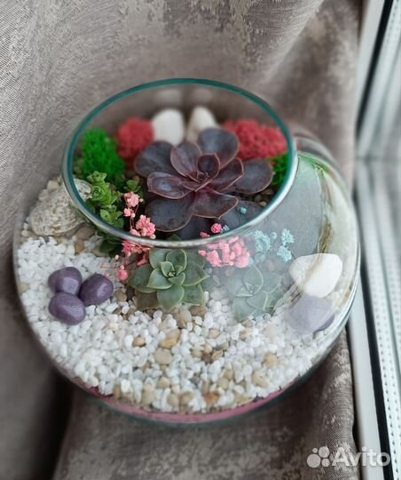 Флорариум-подарок близким