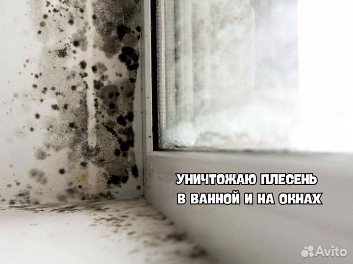 Уничтожение тараканов, дезинфекция, дезинсекция