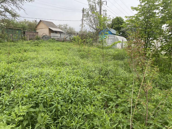 Участок 4 сот. (СНТ, ДНП)