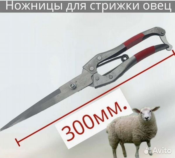Ножницы для стрижки овец