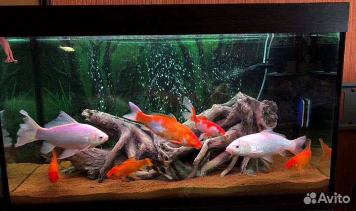 Аквариумный грунт OreFilter Bio