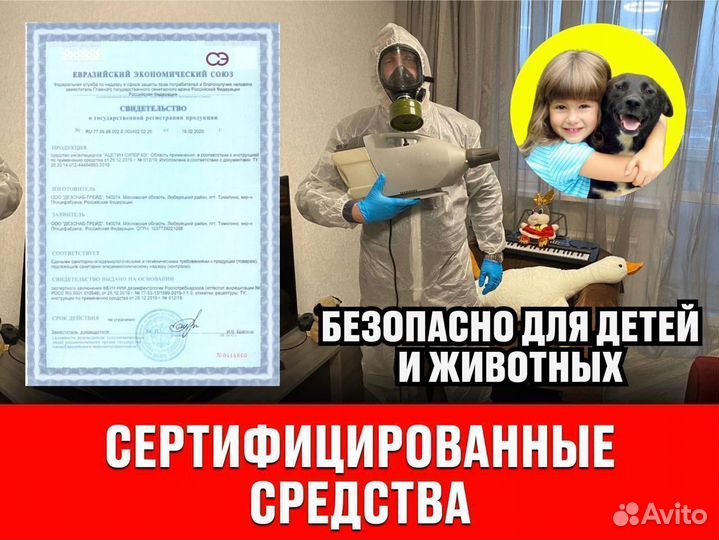 Уничтожение тараканов и клопов дезинсекция