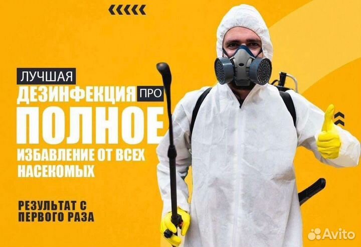 Травить тараканов клопов