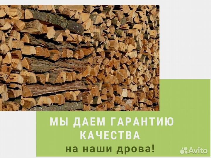 Дрова колотые березовые