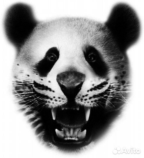 Шаблоны/макеты для печати на футболках и кружках