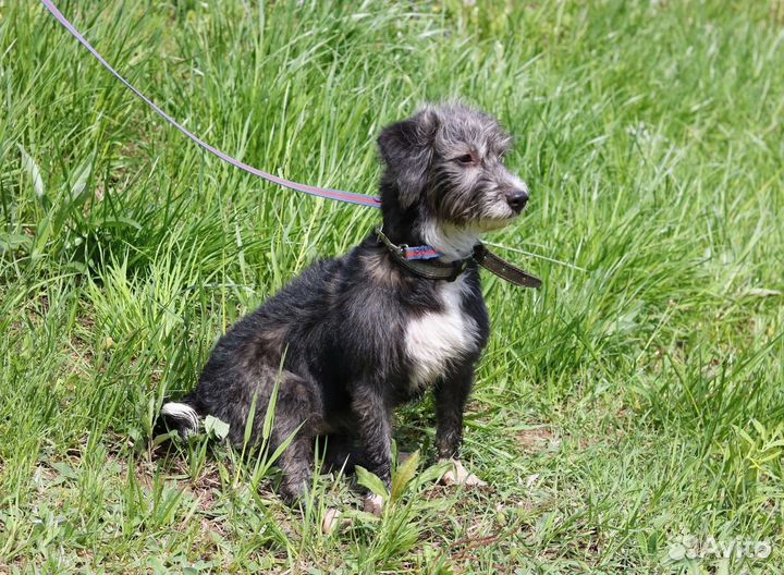 Манечка в семью