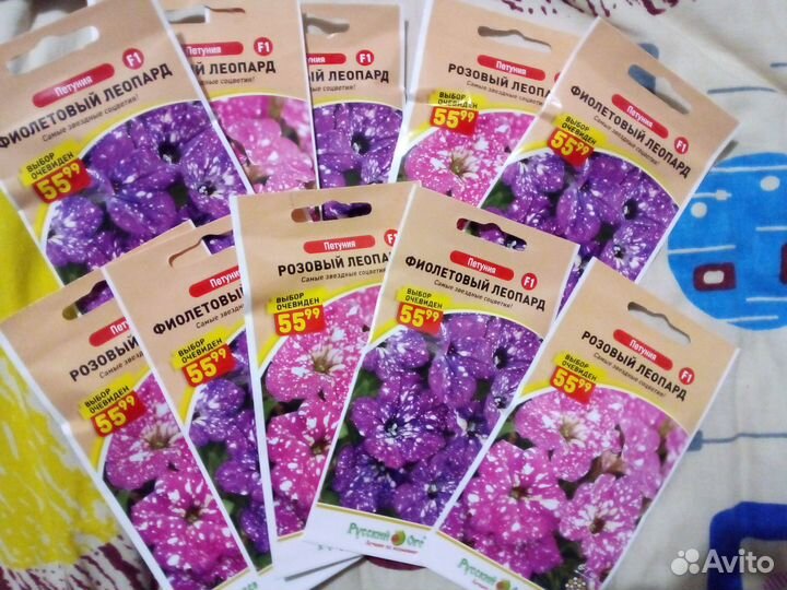 Цветы петуния леопард набор из 5 шт