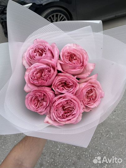 Букет пионовидных роз Эквадор / пионы розы