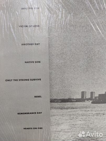 Пластинки виниловые