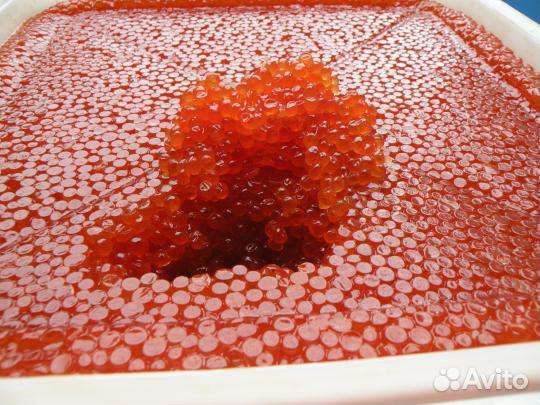 Красная икра 2023