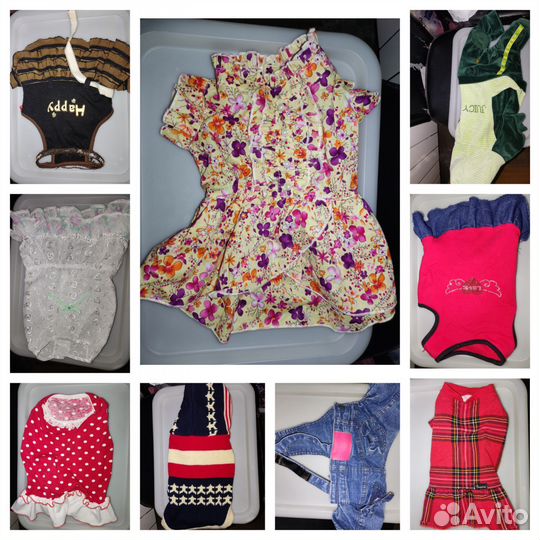 Одежда для собак мелких пород