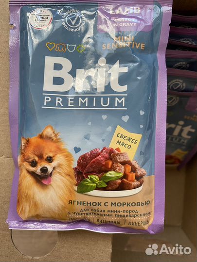 Корм для собак