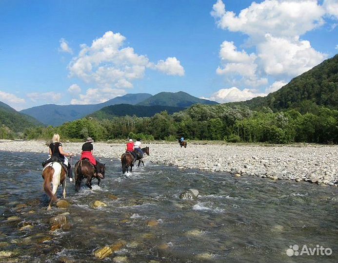 Экскурсии, конные прогулки