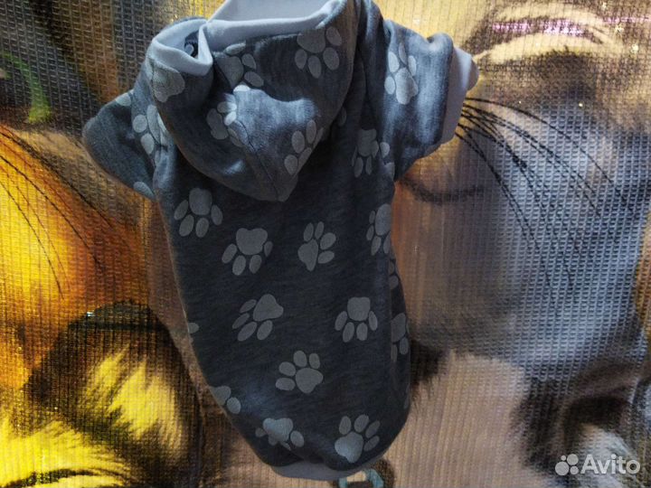 Одежда для собак