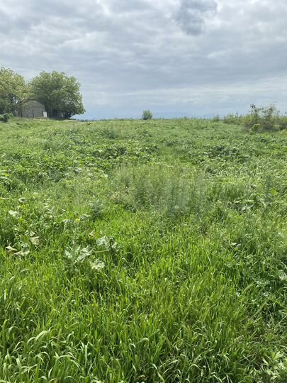 Участок 24 сот. (ИЖС)