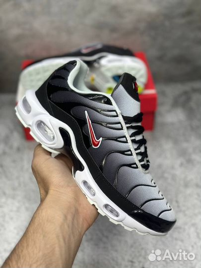 Кроссовки Nike Air Max Tn Plus