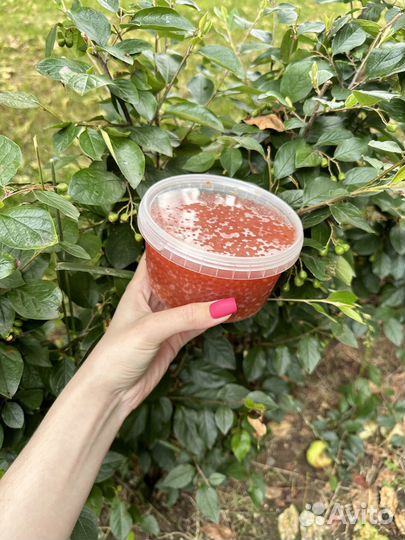 Красная икра, семга, морепродукты