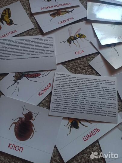 Наборы карточек для детей