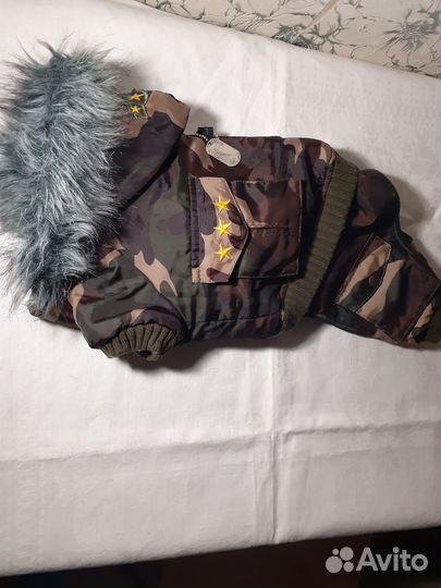 Одежда для собак мелких пород