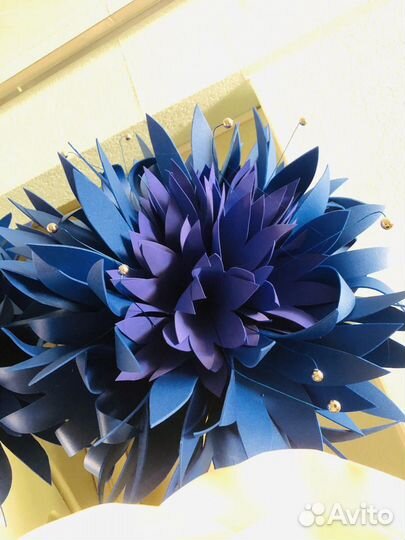 Василек ростовой