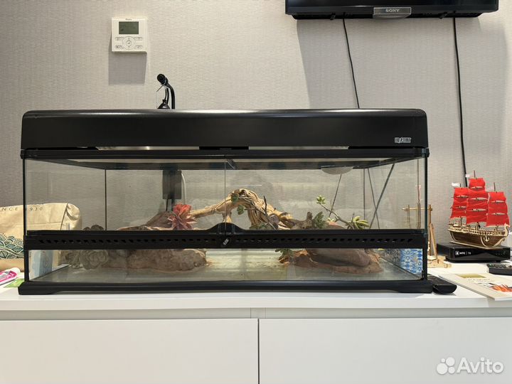 Tеррариум Exo Terra