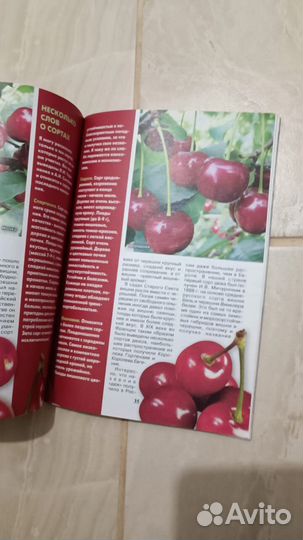 Журнал Приусадебное хозяйство