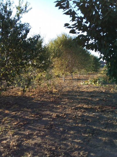 Участок 13,8 га (ИЖС)