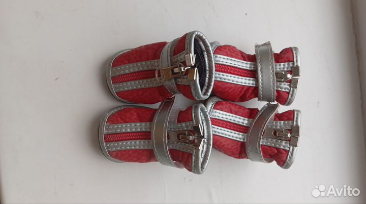 Одежда для маленьких собак