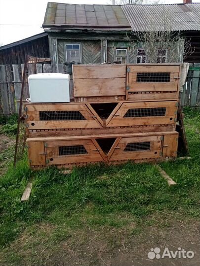 Клетки для кроликов