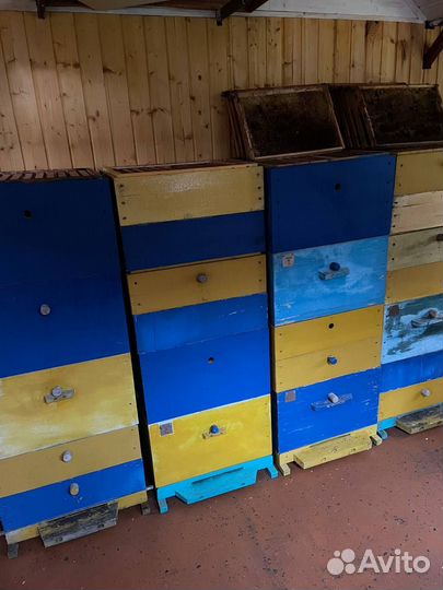 Продажа пасеки