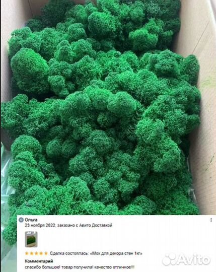 Стабилизированный мох для мелких работ,кашпо