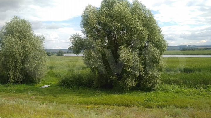 Участок 20 сот. (ИЖС)