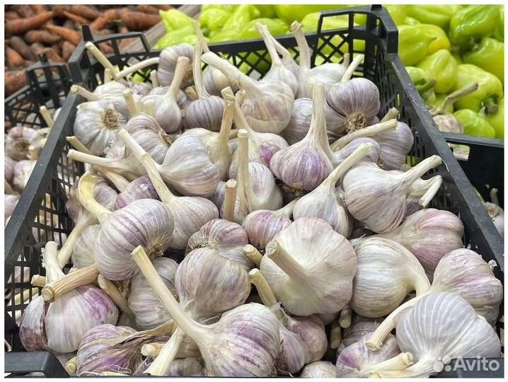 Пассивный доход до 50 процентов годовых