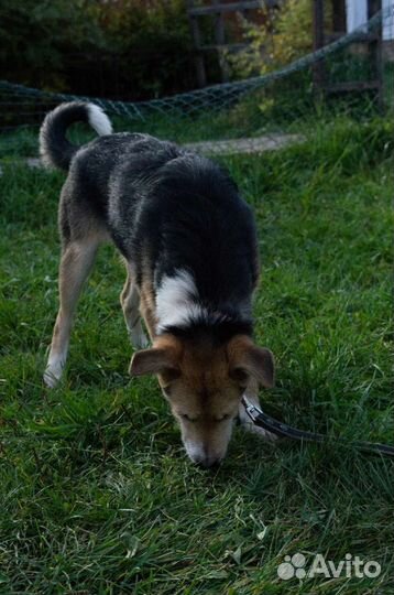 Годовалая девчуля