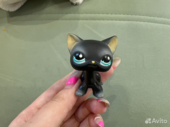Littlest pet shop